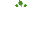 Бани Андреевские